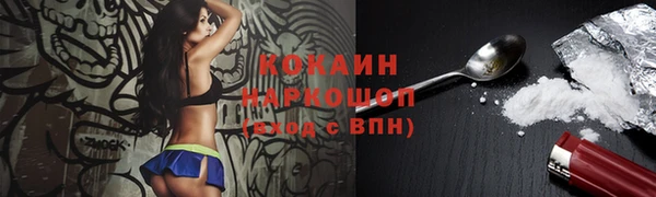 крисы Верхний Тагил