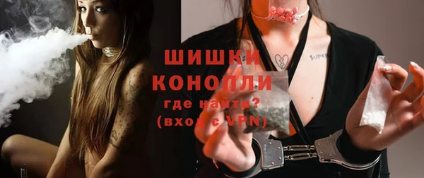твердый Бородино