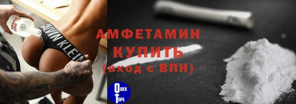 твердый Бородино