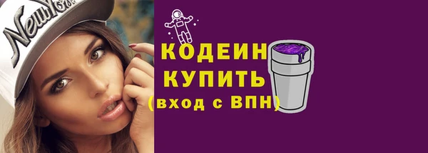 твердый Бородино