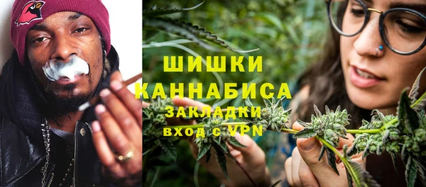 крисы Верхний Тагил