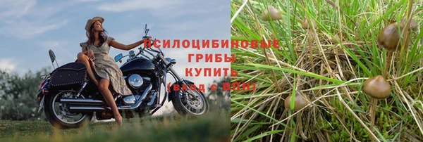 ALPHA-PVP Бронницы