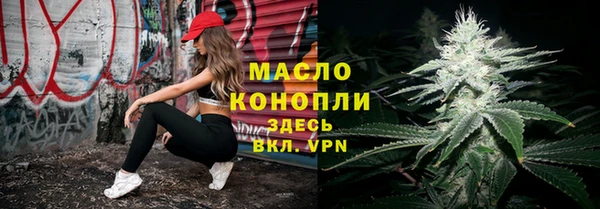 крисы Верхний Тагил