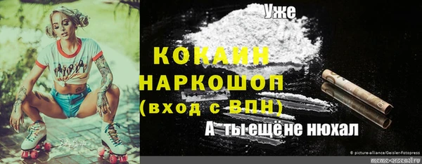 твердый Бородино