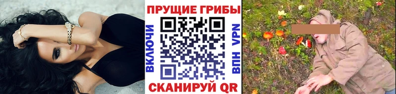 Псилоцибиновые грибы прущие грибы  OMG ссылки  Отрадная 